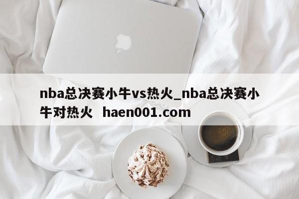 nba总决赛小牛vs热火_nba总决赛小牛对热火  haen001.com